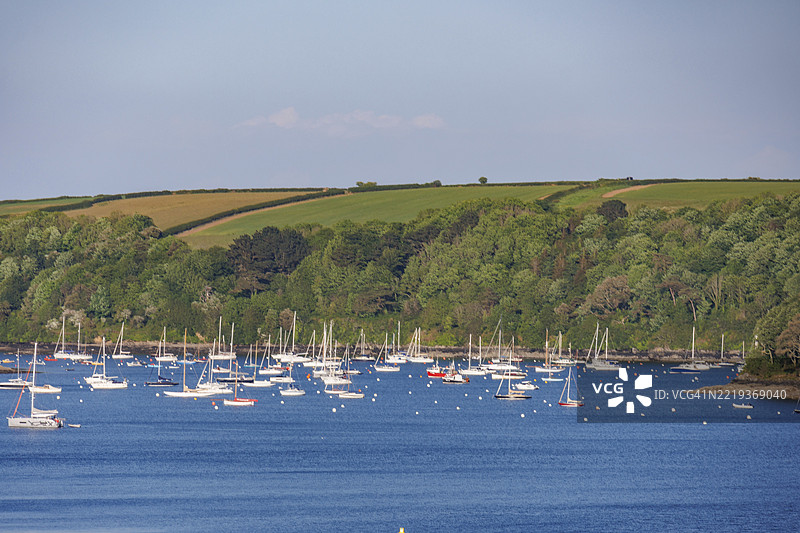 海上风景，众多帆船与绿色森林景观，法尔茅斯，康沃尔，英格兰，英国图片素材