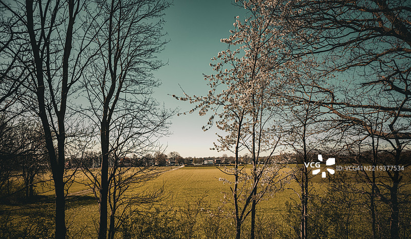 德国阿尔斯多夫的春天图片素材