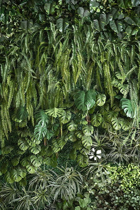 建筑外墙上的人造植物叶塑料面板图片素材