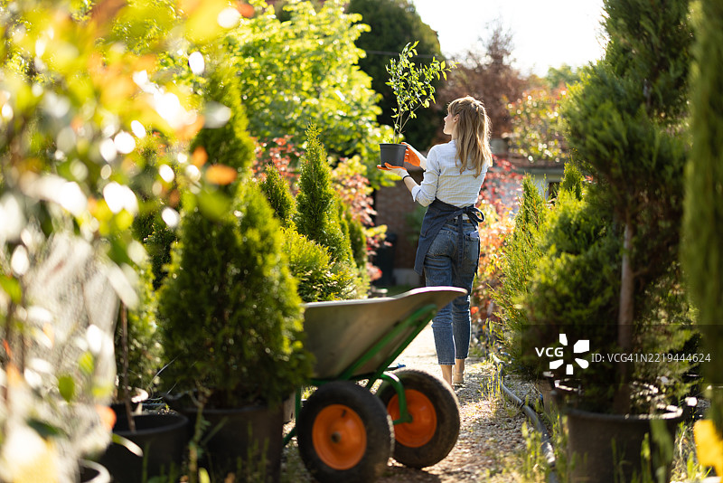 春天阳光明媚的日子里，女性在花园中心工作图片素材