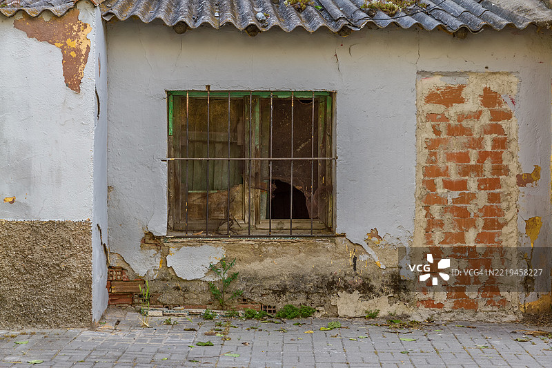 废弃房屋中的封闭门图片素材
