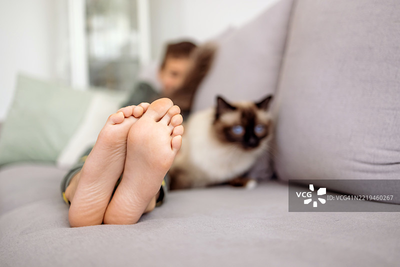 在沙发上赤脚与猫咪放松在家图片素材