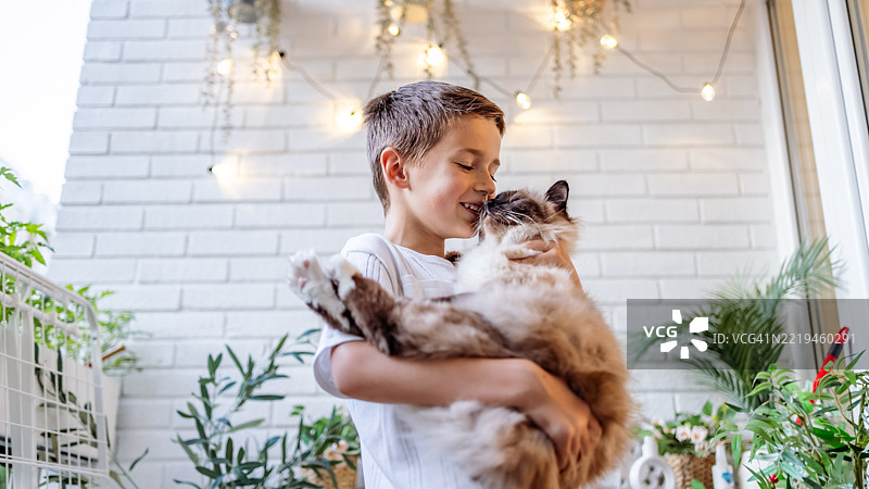 男孩在露台上抱着一只猫，周围有植物和黄昏时的灯饰图片素材