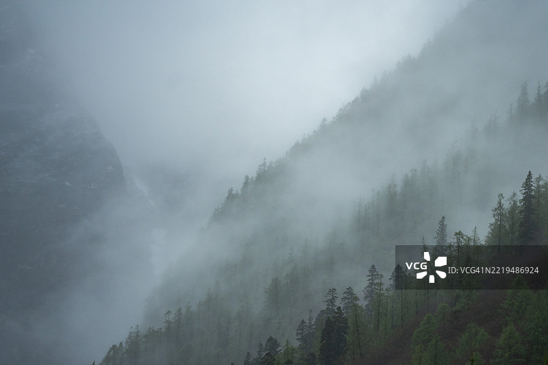 夏季高地的雾蒙蒙的早晨图片素材