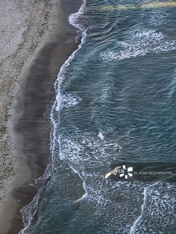 细沙海滩的鸟瞰图，海面上有小浪，海鸥在空中飞翔。图片素材