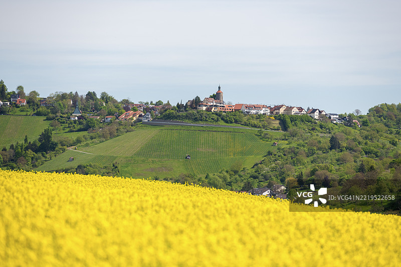 德国巴登-符腾堡州温嫩登附近的比尔格，背景是一座小村庄前的油菜花田和一座小山。图片素材