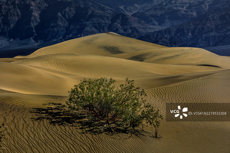 加利福尼亚州熔炉溪的沙漠风景图片素材