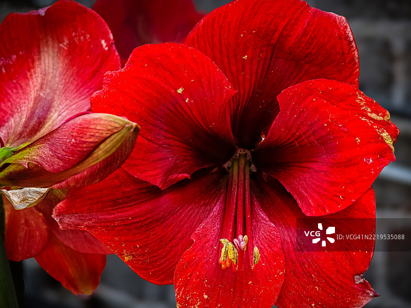 温柔对待，不要让世界让你变得冷漠，不要让痛苦让你仇恨，不要让苦涩。图片素材