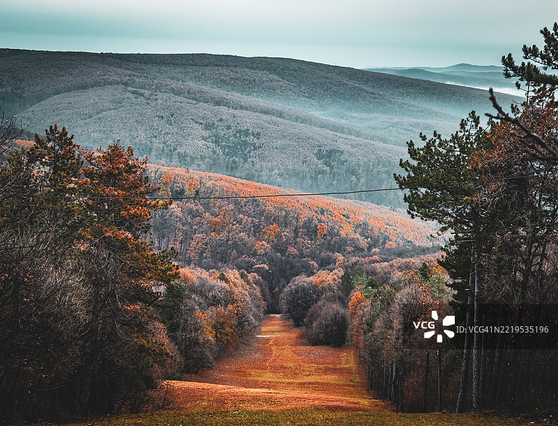 秋天的巴拉尼亚县，匈牙利，天空下的树木景观图片素材