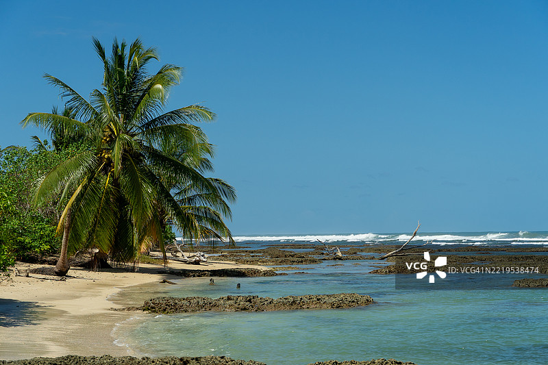 宁静的加勒比海热带海滩，巴斯蒂门托斯岛，博卡斯德尔托罗，中央图片素材