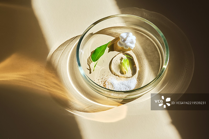 天然护肤产品的质地在培养皿中图片素材