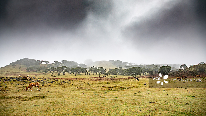 田野与天空的美丽景色图片素材
