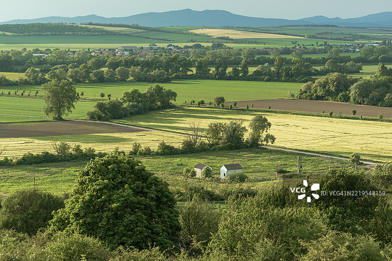 农业田野的美丽景观图片素材