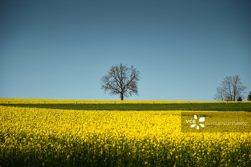 清澈天空下的田野美景图片素材
