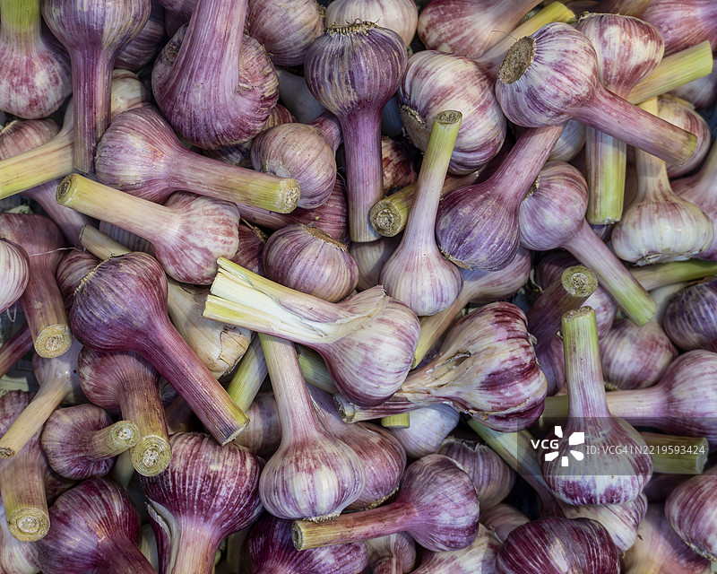 横滨市场的新鲜未成熟大蒜球图片素材