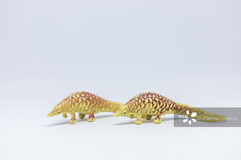 Cedarpelta恐龙的特写镜头图片素材