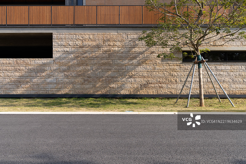 现代建筑外立面与树木支撑图片素材