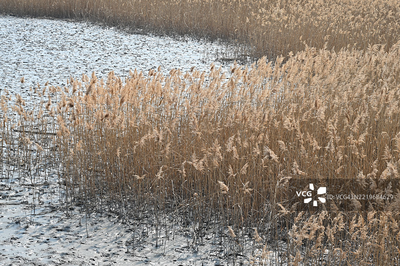 全罗南道，宝城郡，中岛堤坝图片素材