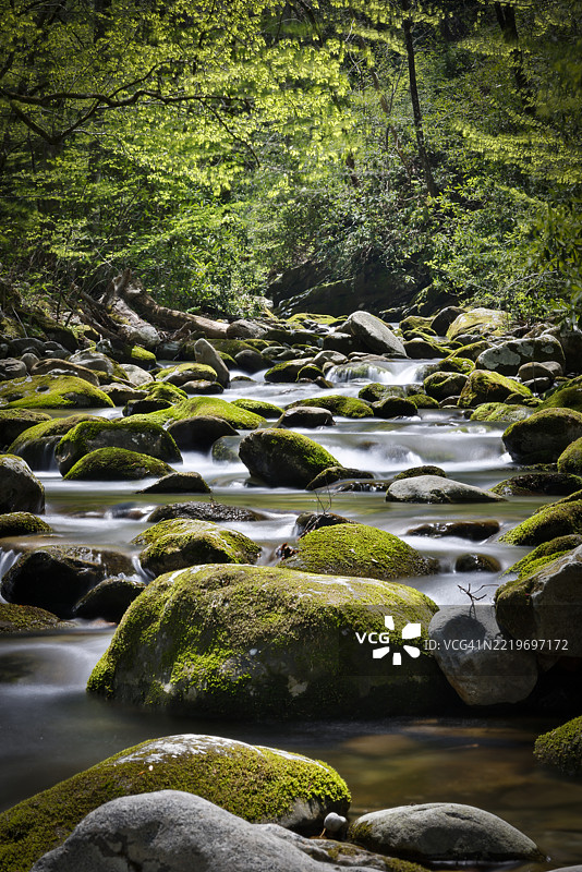 田纳西州皮金福奇森林中的溪流风景图片素材