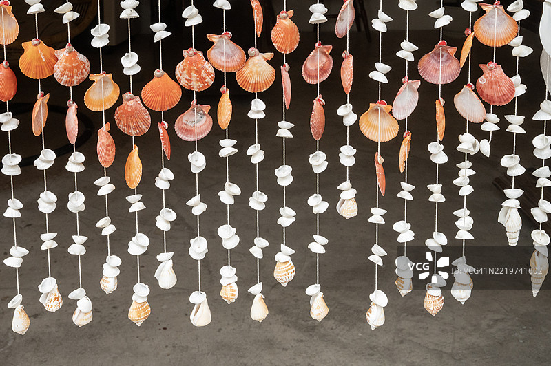 墙壁上覆盖着贝壳，背景中有一株植物。图片素材