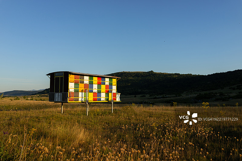 田野上的蜜蜂蜂巢房子图片素材