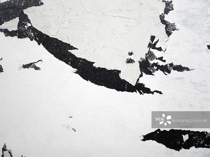 撕裂和剥落的黑白纸张特写。粗糙的纹理。阳光。自然色彩。法国巴黎。图片素材