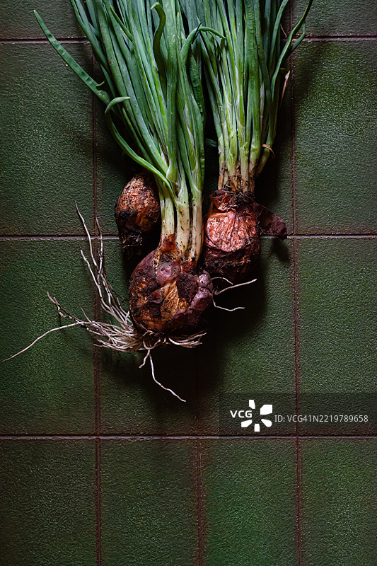 一束新鲜的青葱放在绿色背景上，静物摄影。图片素材