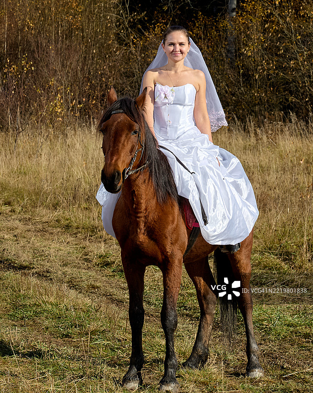 年轻美丽的新娘骑着马图片素材
