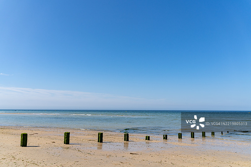 覆盖藻类的防波堤延伸至平静海洋的沙滩图片素材