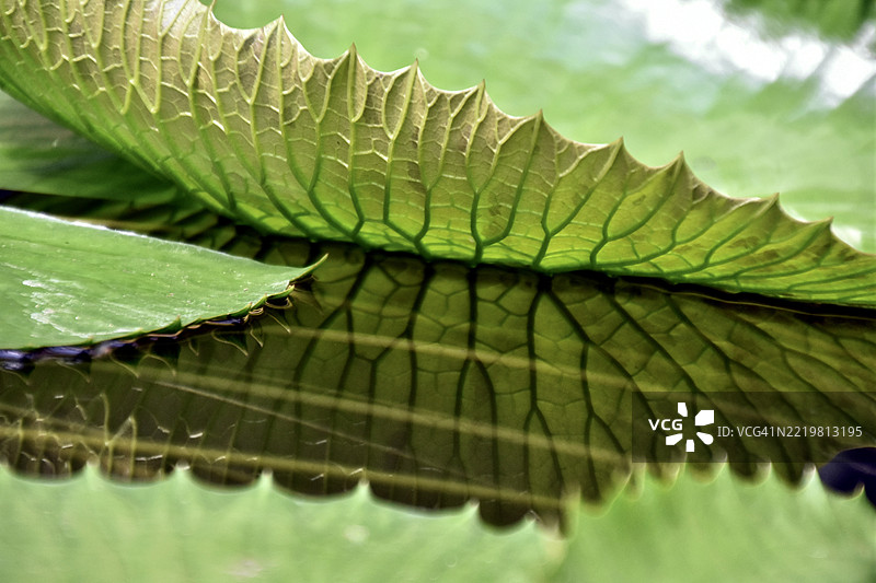 特鲁迪·斯洛库姆离开2图片素材