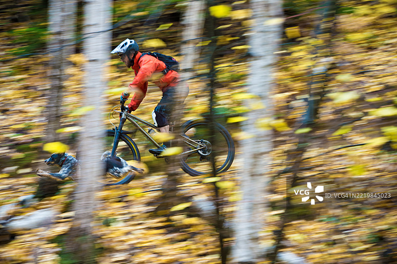 模糊的山地自行车狗骑行图片素材
