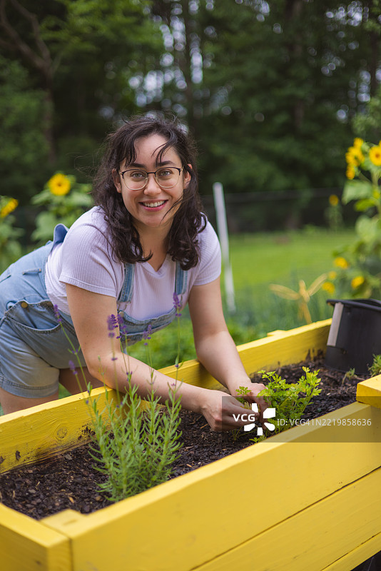 园艺 - 女性在高架花园床上工作 - 肖像图片素材
