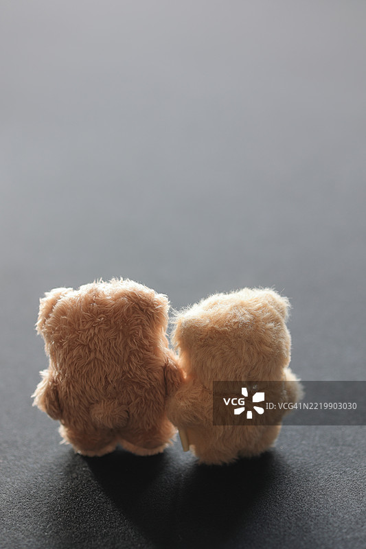 并肩而立的手工熊双胞胎背面视图图片素材
