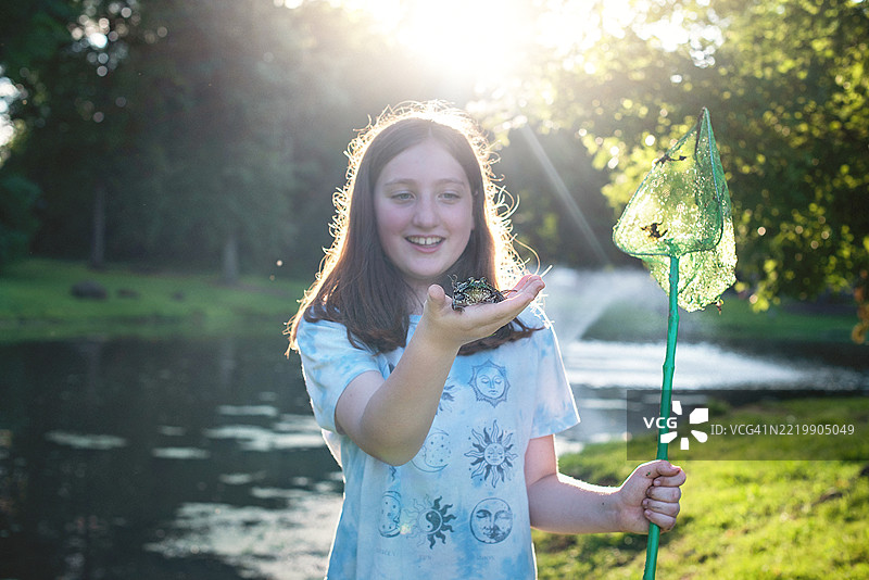 11岁女孩在自然学习中抓着北方绿蛙。小学生用渔网探索池塘生态系统。图片素材