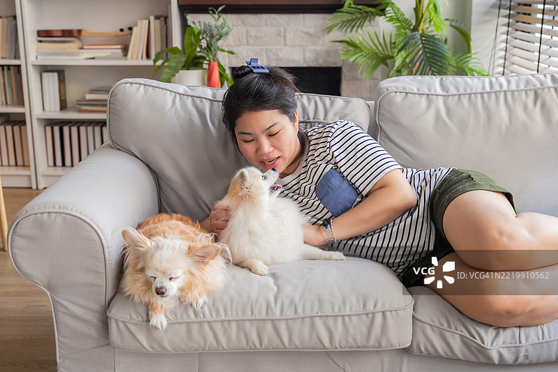 一位放松的亚洲女性在家中与她心爱的吉娃娃和博美犬享受美好时光，散发出温馨的氛围，身处一个设计精美的现代居住空间。她穿着休闲，坐得舒适，周围充满温暖和爱，家居风格时尚。图片素材