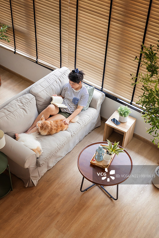 一位美丽的年轻东亚女性，棕色头发，舒适地坐在地板上，戴着耳机，穿着白色上衣，正在阅读一本蓝色小说。阳光透过窗户洒入温馨的客厅，腊肠犬和吉娃娃安静地打盹。图片素材