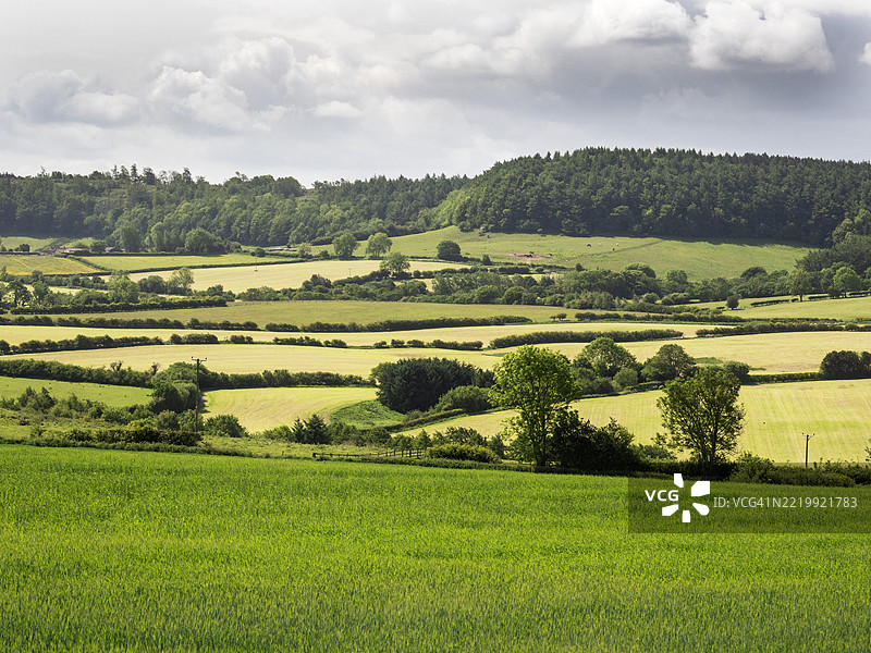 位于英国约克郡北约克穆尔斯的哈伍德戴尔附近的农田。图片素材