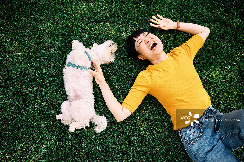 俯视一位快乐的日本女性与她的马尔济斯犬一起玩耍。图片素材