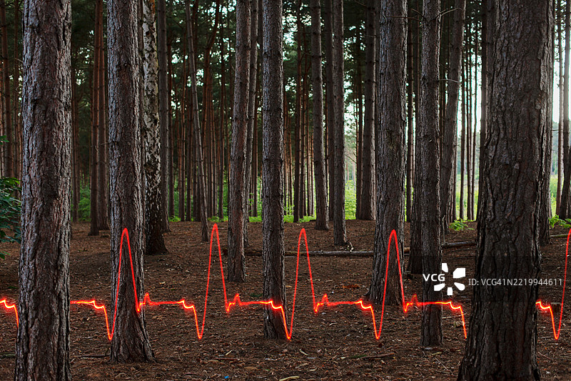 心电图光轨穿过森林图片素材