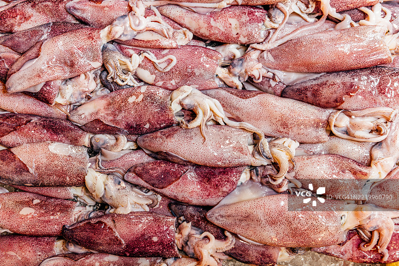 雅典希腊瓦尔瓦基奥斯鱼市出售新鲜鱿鱼图片素材