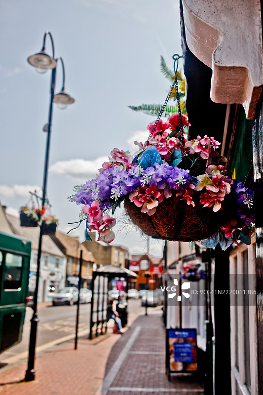 市场街的悬挂花篮图片素材