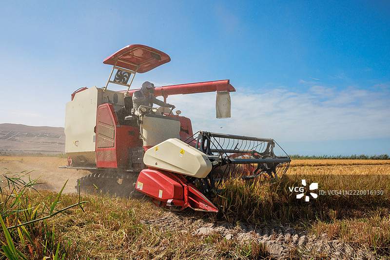 稻谷收割机在田间作业。阿雷基帕，卡马纳谷。图片素材