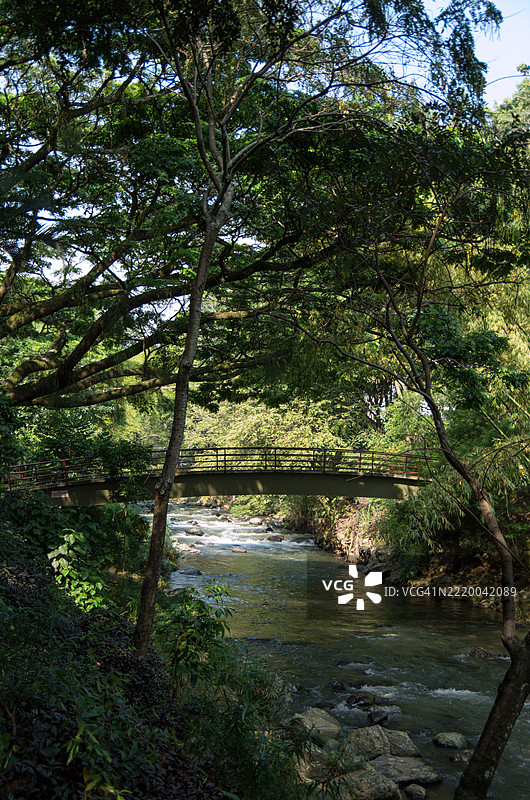 卡利河，哥伦比亚，瓦耶尔德卡乌卡省，卡利图片素材