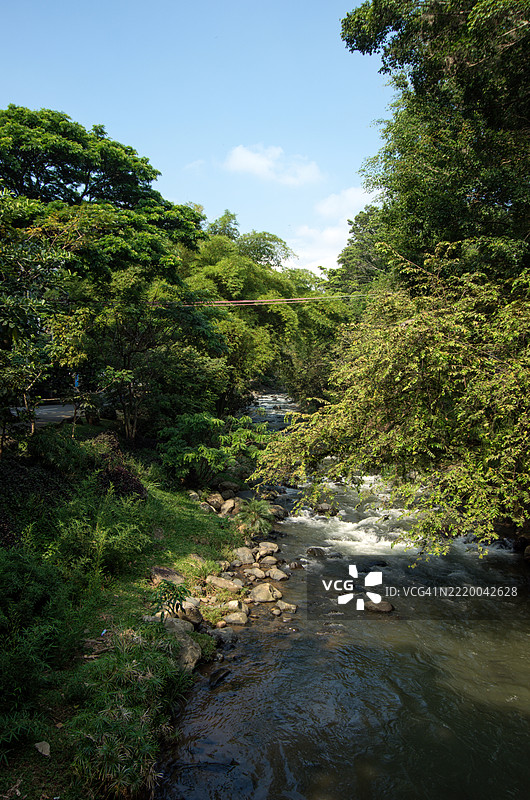 卡利河，哥伦比亚，瓦利尔·德尔·考卡，卡利图片素材