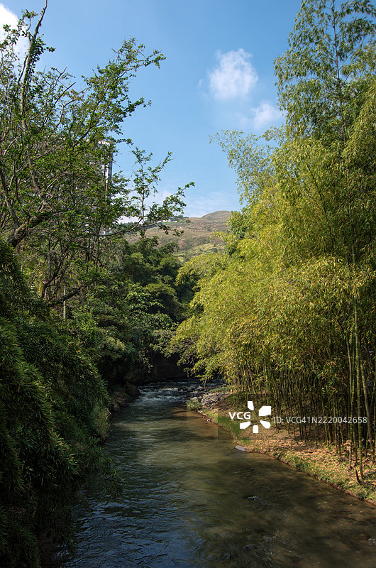 卡利河，哥伦比亚，瓦列德尔考卡，卡利图片素材