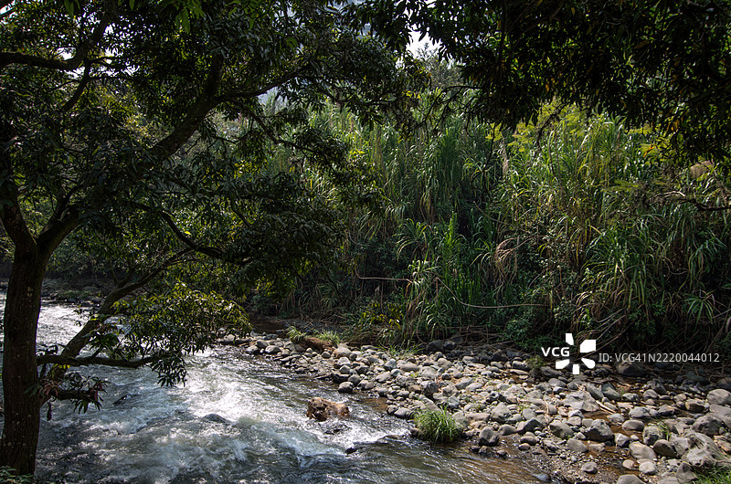 卡利河，哥伦比亚，瓦莱德尔考卡，卡利图片素材