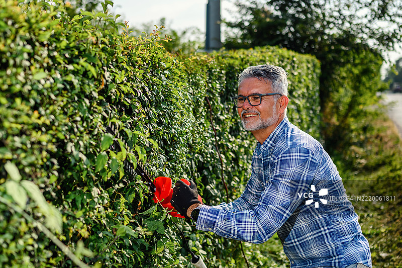成熟男性使用无线修剪器修剪花园树篱图片素材