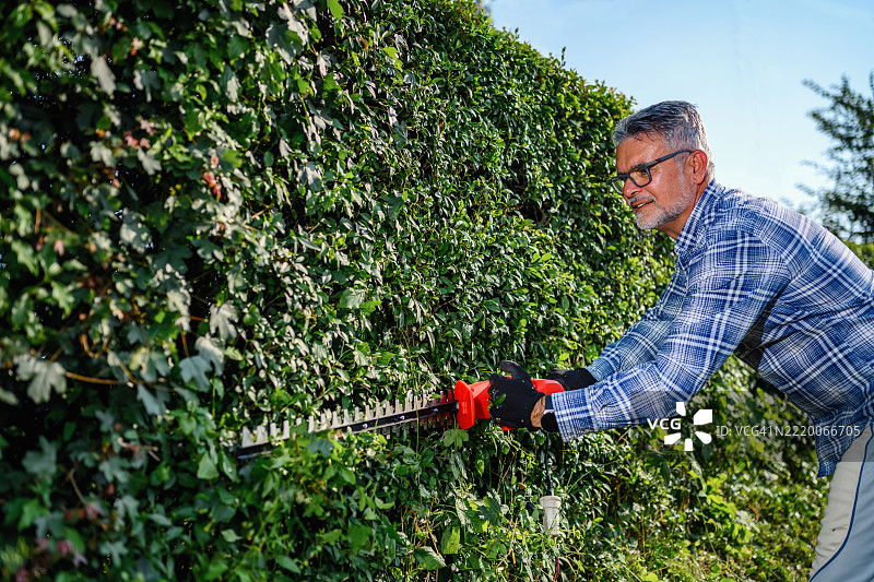 成熟男性使用无线修剪器修剪花园树篱图片素材