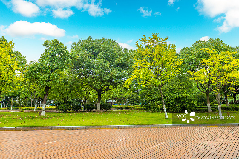 阳光明媚的日子里，宁静的公园里绿树成荫，蓝天如洗。图片素材