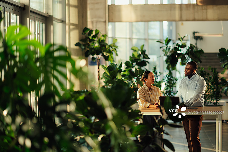 商务人士在现代绿色办公空间讨论工作图片素材